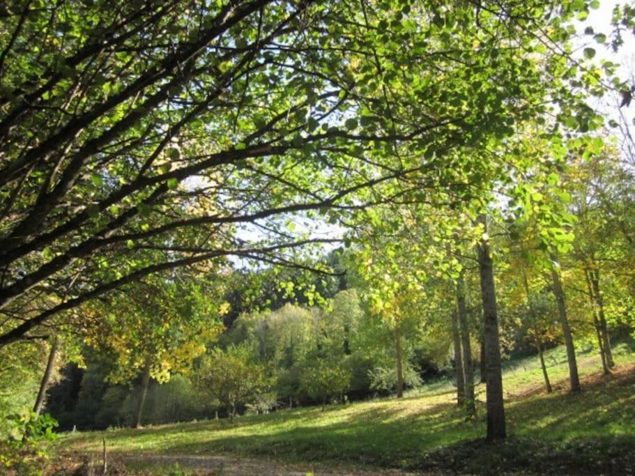 Gite Du Charpentier Vocance Buitenkant foto